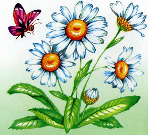 Poems about daisies