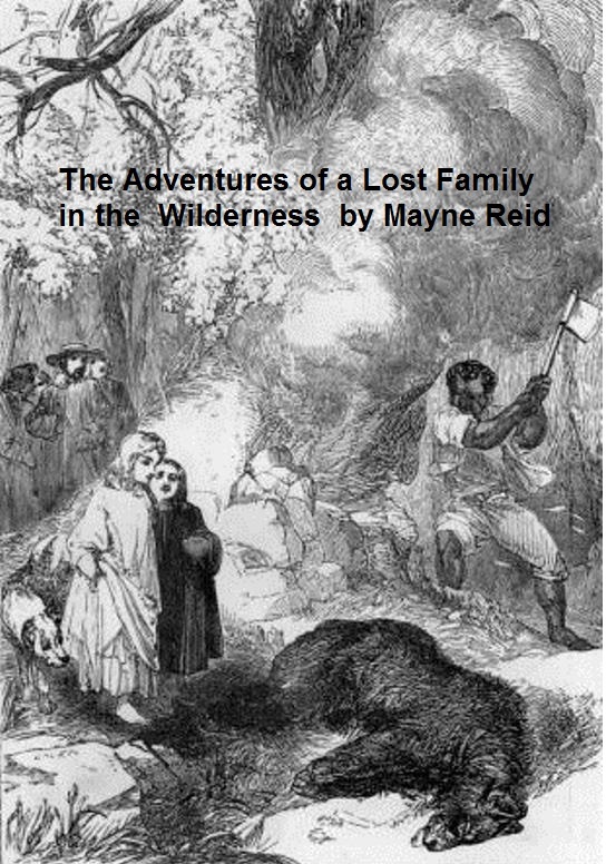 The Adventures of a Lost Family in the Wilderness by Mayne Reid