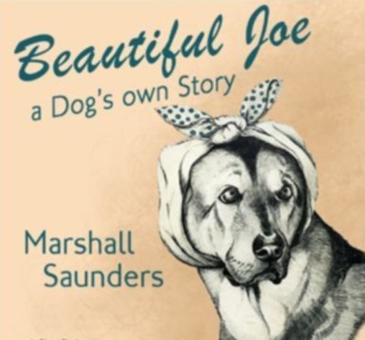 Beautiful Joe An Autobiography of a Dog by Marshall Saunders